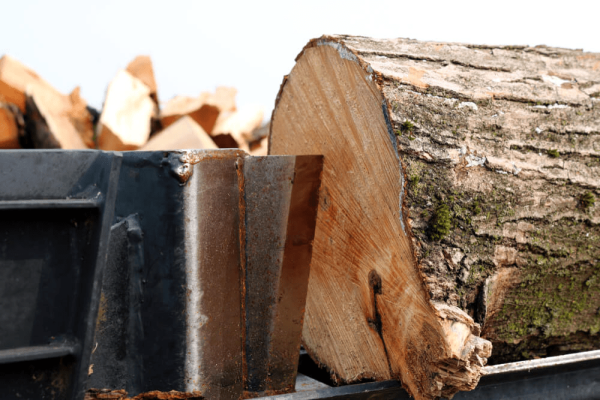کاربرد چوب افرا